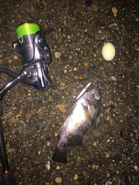 アクロバットな短時間ライト